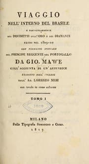 Tapa de Viaggio nel interno del Brasile