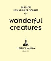 Tapa de Wonderful creatures