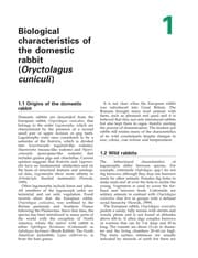 Tapa de Textbook of rabbit medicine