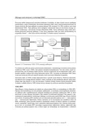 Tapa de Java i XML