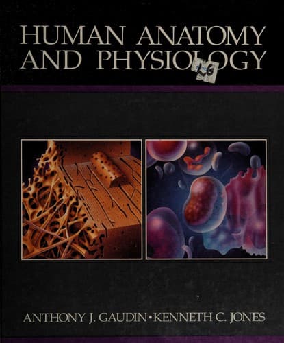 Tapa de Human anatomy and physiology
