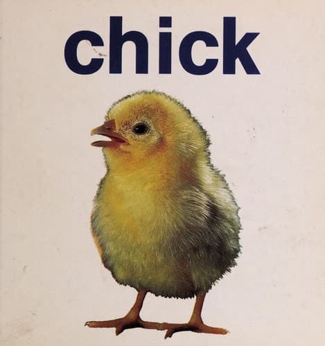 Tapa de Chick