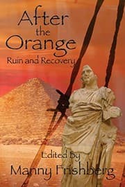 Tapa de After the Orange