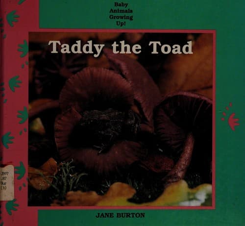 Tapa de Taddy the toad