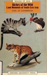 Tapa de Riches of the wild