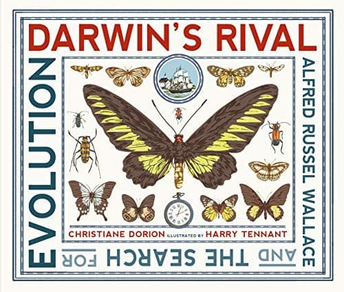 Tapa de Darwin's Rival