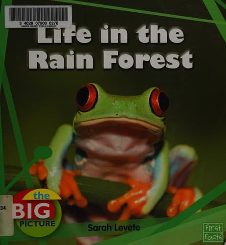 Tapa de Life in the rain forest