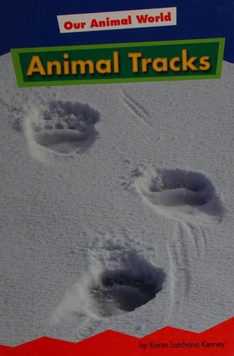 Tapa de Animal tracks