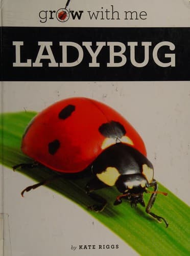 Tapa de Ladybug