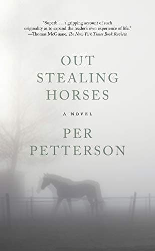 Tapa de Out Stealing Horses