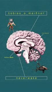 Tapa de Neverwake (Aspects of English Intellectual, Cultural, and Literary Hist)