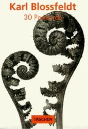 Tapa de Karl Blossfeldt