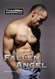 Tapa de Fallen Angel