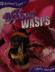 Tapa de Bees and wasps