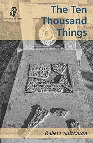 Tapa de The Ten Thousand Things