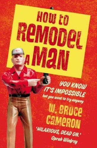 Tapa de How to Remodel a Man