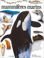 Tapa de Mammifères marins