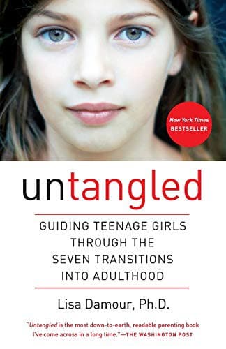 Tapa de Untangled