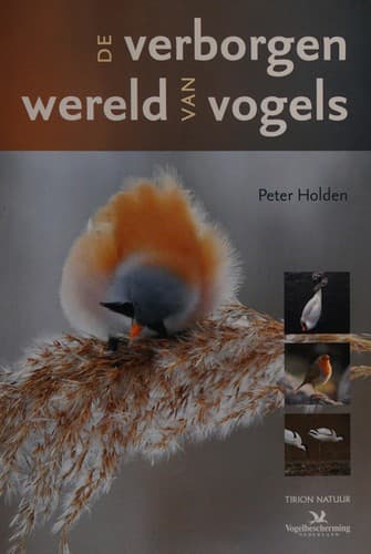 Tapa de De verborgen wereld van vogels
