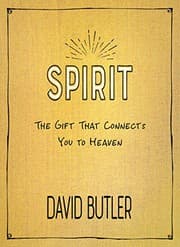 Tapa de Spirit