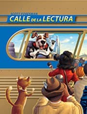 Tapa de READING 2011 SPANISH ENVISION IT! PICTURE VOCABULARY CARDS GRADE 4