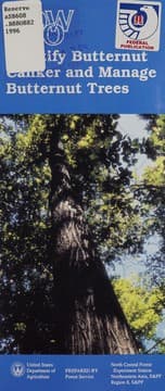 Tapa de How to identify butternut canker and manage butternut trees