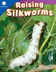 Tapa de Raising Silkworms
