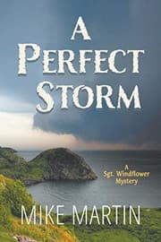 Tapa de A Perfect Storm