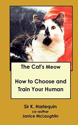 Tapa de The Cat's Meow