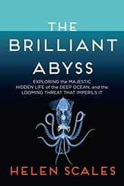 Tapa de The Brilliant Abyss