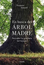 Tapa de En busca del Árbol Madre