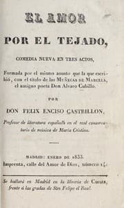Tapa de El amor por el tejado
