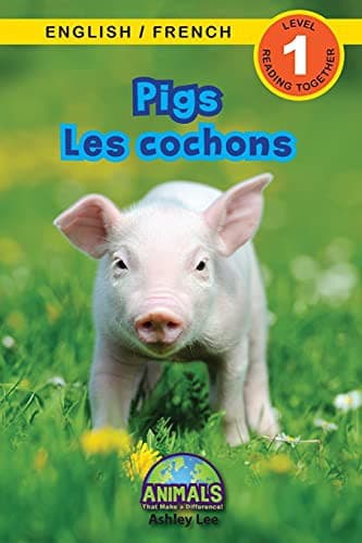 Tapa de Pigs / Les cochons