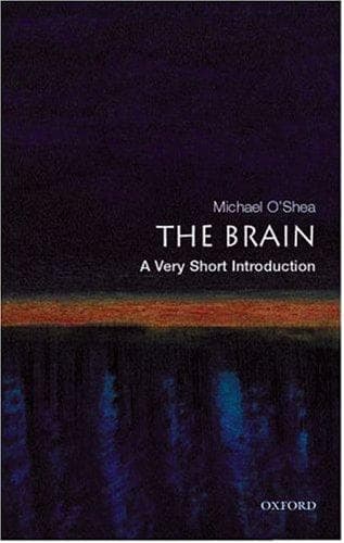 Tapa de The Brain
