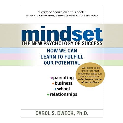 Tapa de Mindset