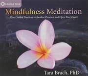 Tapa de Mindfulness Meditation