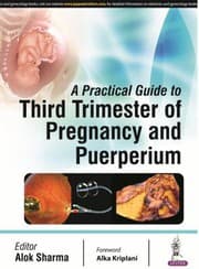 Tapa de Practical Guide to Third Trimester of Pregnancy and Puerperium