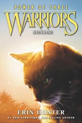 Tapa de Warriors - Sunrise