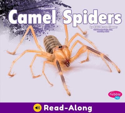 Tapa de Camel Spiders