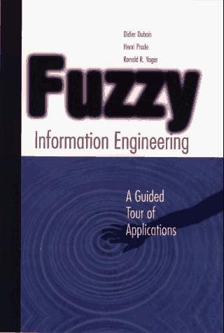 Tapa de Fuzzy information engineering