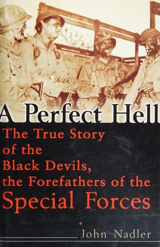 Tapa de A perfect hell