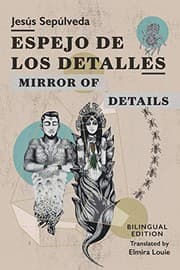 Tapa de Espejo de los detalles / Mirror of Details
