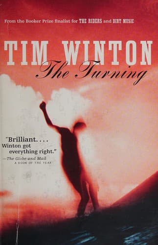 Tapa de The turning