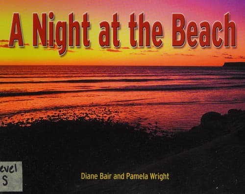 Tapa de A night at the beach