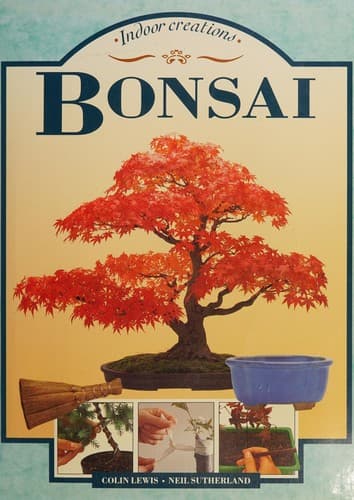 Tapa de Bonsai