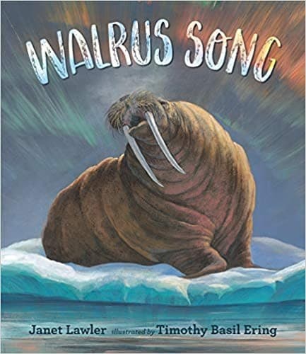 Tapa de Walrus Song