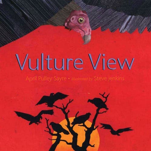 Tapa de Vulture View