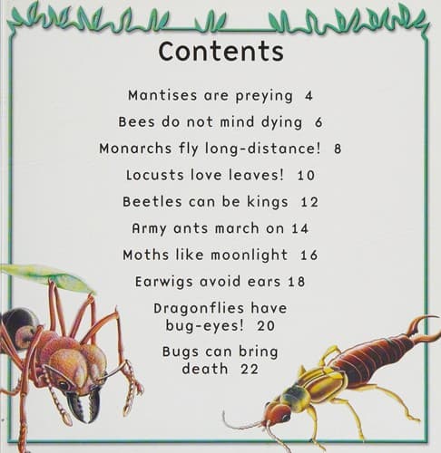 Tapa de Bugs