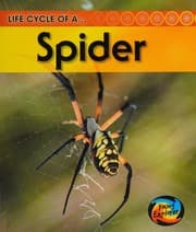 Tapa de Life cycle of a spider
