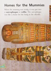 Tapa de All about Mummies